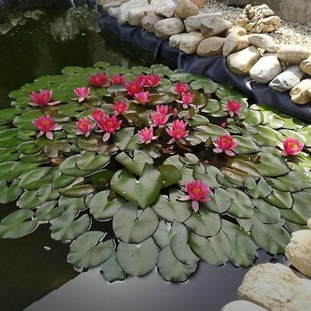 Ubytovani V Plumlove Dış mekan fotoğraf
