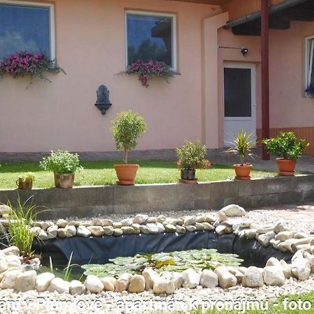 Ubytovani V Plumlove Dış mekan fotoğraf